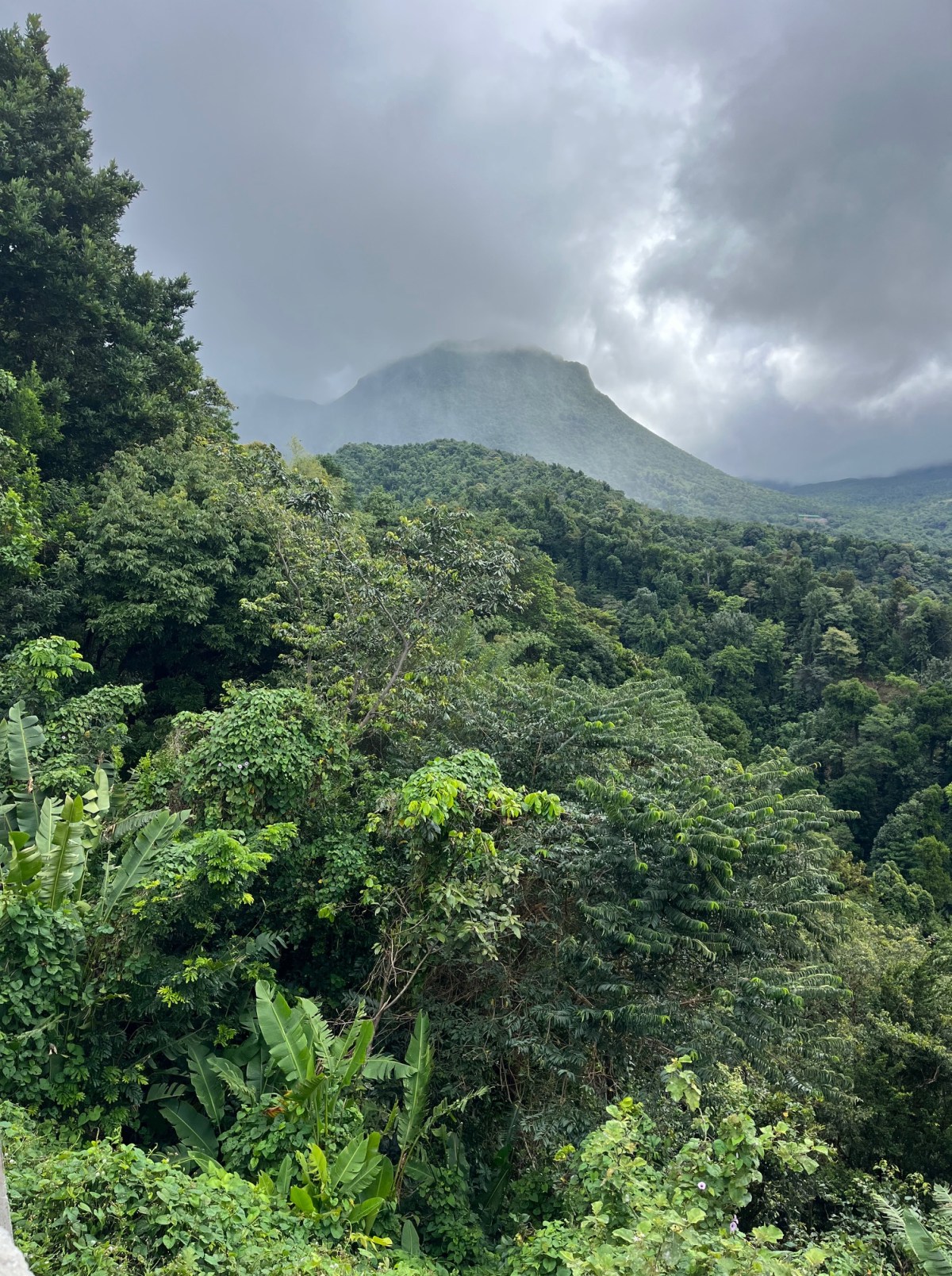 Dominica, the nature&nbsp;island